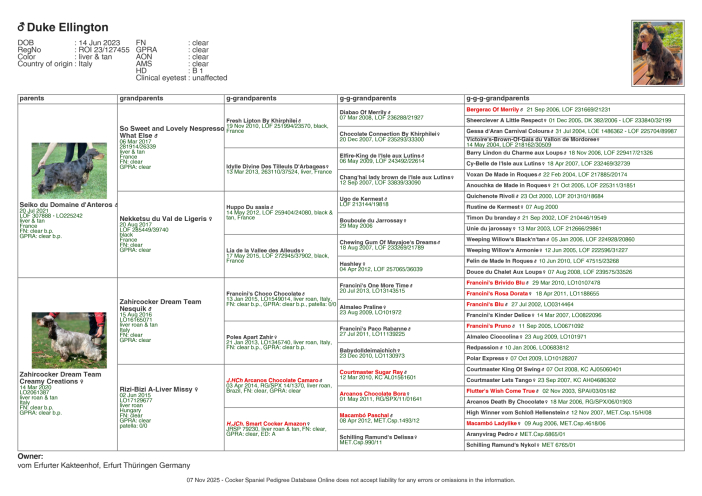 Ahnentafel Duke Ellington - English Cocker Spaniel
